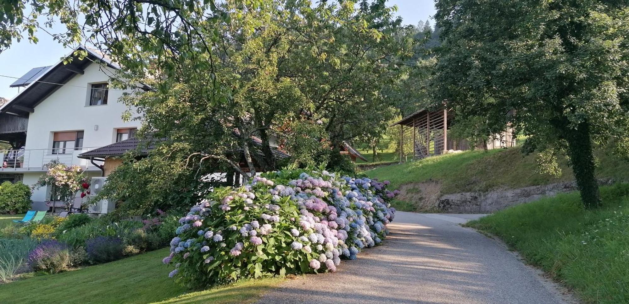 Apartma Na Ravnicah 체르크노 외부 사진